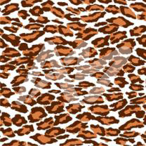 LeopardoA