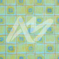 VitreauxCEB